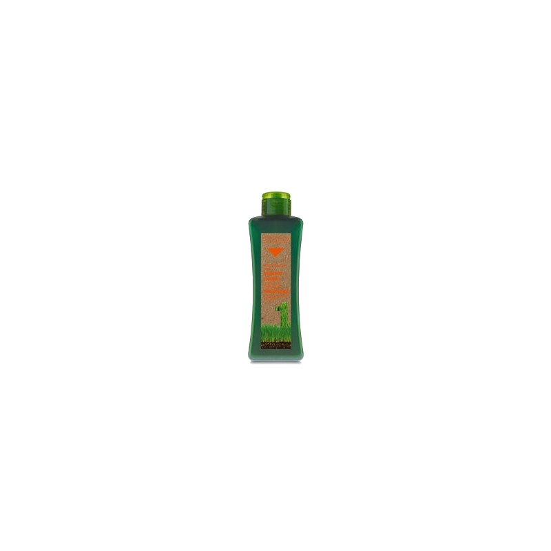 Biokera Shampoing Cheveux Traités 300 ml — BIOKERA