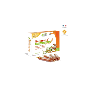 Mgd Gelinseng Boite 20 Ampoules